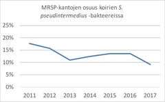 Metisilliinille resistenttien Staphylococcus pseudintermedius -kantojen osuus vuosina 2011–2017 Suomessa. Lähde: Eläinlääketieteellinen tiedekunta, Helsingin yliopisto