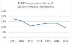 Metisilliinille resistenttien Staphylococcus pseudintermedius -kantojen osuus vuosina 2011–2017 Suomessa. Lähde: Eläinlääketieteellinen tiedekunta, Helsingin yliopisto