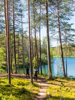 Korona-aika on tehnyt suomalaisista innokkaita ulkoilijoita. Kuvaaja: Marja-Liisa Vähämäki/ Vastavalo.net