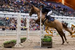 GoExpo Horsen ohjelmassa on mm. kansainvälinen esteratsastuskilpailu. Kuva: Messukeskus, Heidi Koivunen