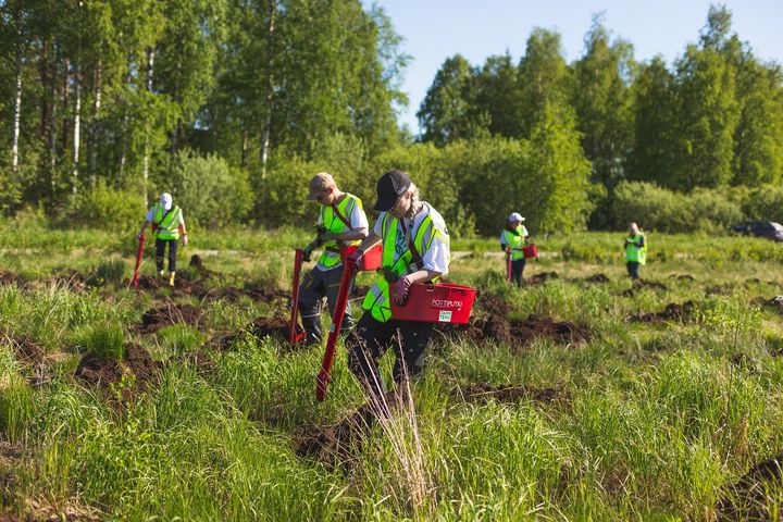 Taimiteko on ennen kaikkea työllistämisteko, sillä sen kautta varsinkin alle 18-vuotiaat, peruskoulun päättävät nuoret saavat kesätyökokemusta.