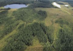 Suomussalmelle on perustettu 187 hehtaarin kokoinen soiden suojelualueverkosto. Kuva: Kari Kemppainen, Kainuun ELY-keskus.