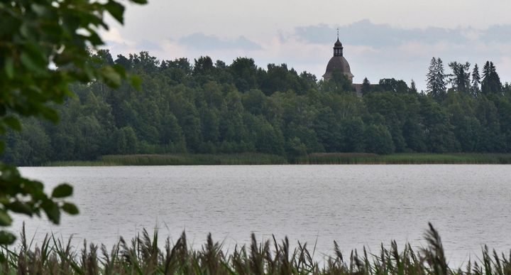 Kangasalan Kirkkojärvessä on havaittu viikolla 35 runsaasti sinilevää. Kuva: Sinikka Suominen / Pirkanmaan ELY-keskus