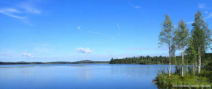 Virkkusenjärvi, Taivalkoski. Kuva Helena Vikstedt.