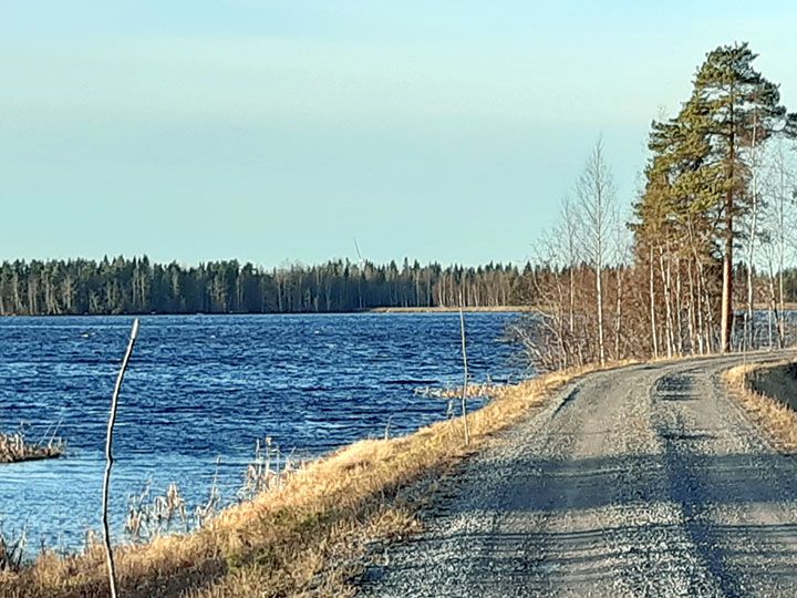 Haapajärven tekoallas.