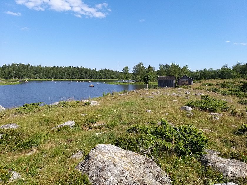 Bodbacken, Mustasaari