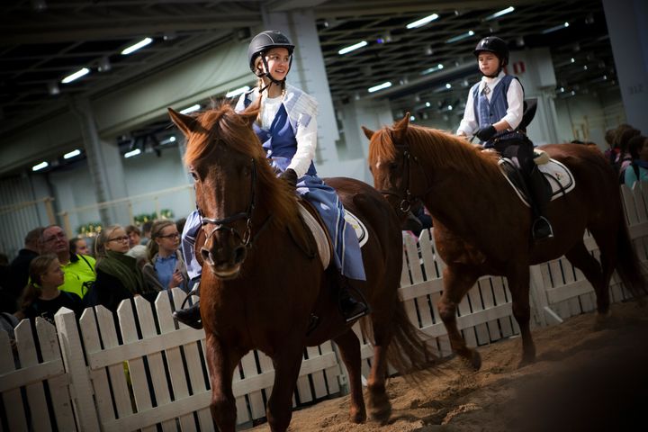 Ratsastusta ELMA-messuilla 2016. Kuva Verna Kovanen.