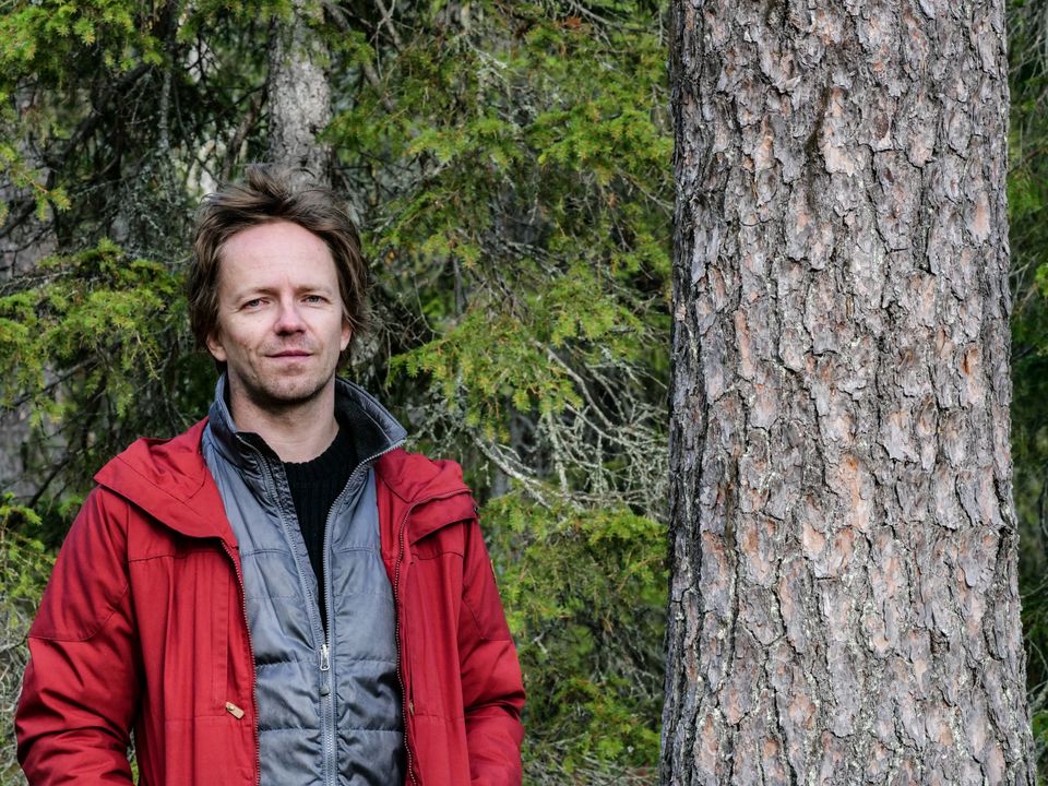 Greenpeacen metsäasiantuntija Matti Liimatainen