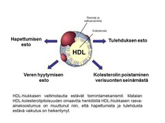 HDL-hiukkasen valtimotautia estävät toimintamekanismit. (Kuva: Pirkka-Pekka Laurila, Helsingin yliopisto)