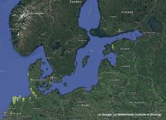 Satelliittilähettimin valjastettujen hollantilaistutkimuksen valkoposkihanhien sijainnit 13.-22.4.2021 (sijaintimerkkien värillä ei ole merkitystä). Kuva: Netherlands Institute of Ekology.