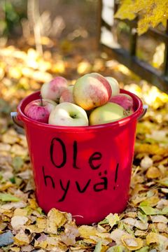 Oman pihan ylimääräisiä omenoita voi laittaa tarjolle ohikulkijoille tai viedä vaikka työpaikalle.
