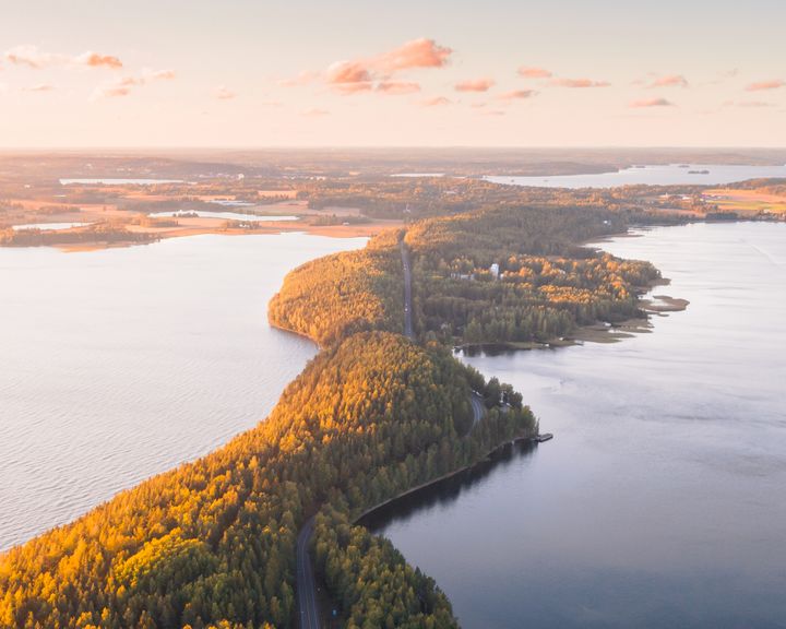 Vehoniemenharju. Kuva: Lassi Välimaa