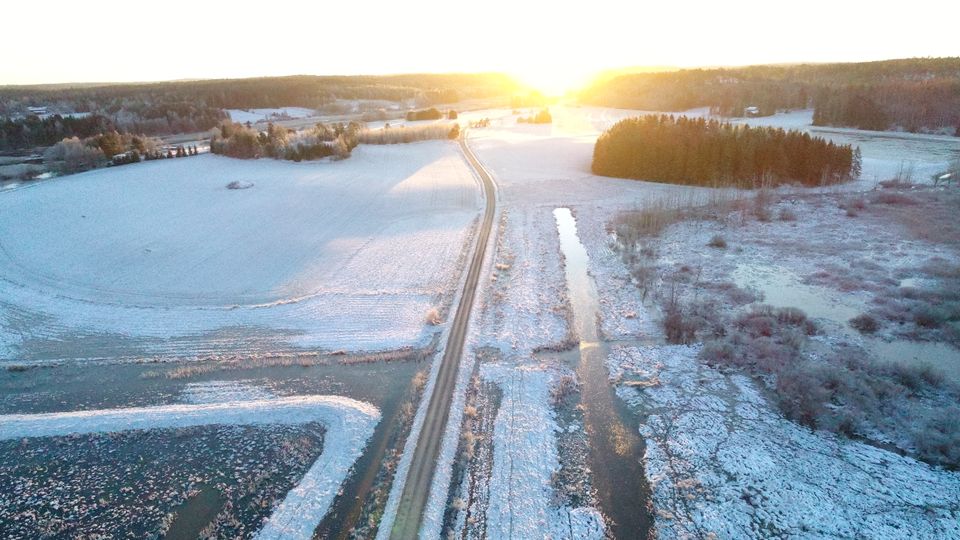 Vähäjärven kosteikko