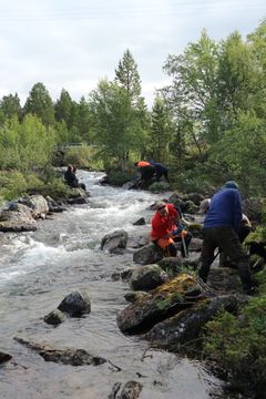 Kirakkakoskea ennallistetaan. Kuva Tero Mustonen.