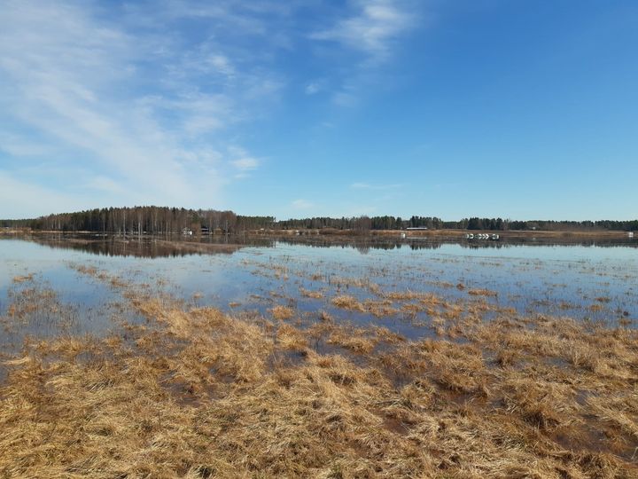 Flödesvatten har runnit ut på ängar och åkrar vid Lappo å ovanför Talinkalma regleringsdamm.