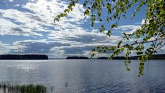 Uimavedet olivat kesäkuun alussa vielä viileitä. Kuva: Ilkka Elo / Pohjois-Karjalan ELY-keskus.