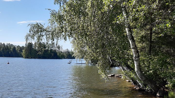 Sinilevätilanne parani tällä viikolla Pirkanmaalla, kun helteinen ilma väistyi. Kuva: Sabina Mäki