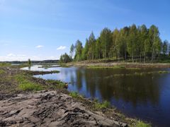 Parkanoon rakennettu Isoahon kosteikko puhdistaa kiintoainetta ja ravinteita maatalouden valumavesistä. Kuva: Kati Ojala