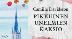 Camilla Davidsson työskenteli aiemmin suuryritysten markkinointitehtävissä. Burnoutin myötä hän teki elämänmuutoksen.