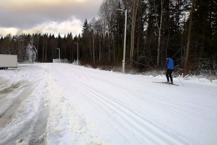 Paloheinässä on latu hiihtokunnossa. Kuva: Helsingin kaupunki