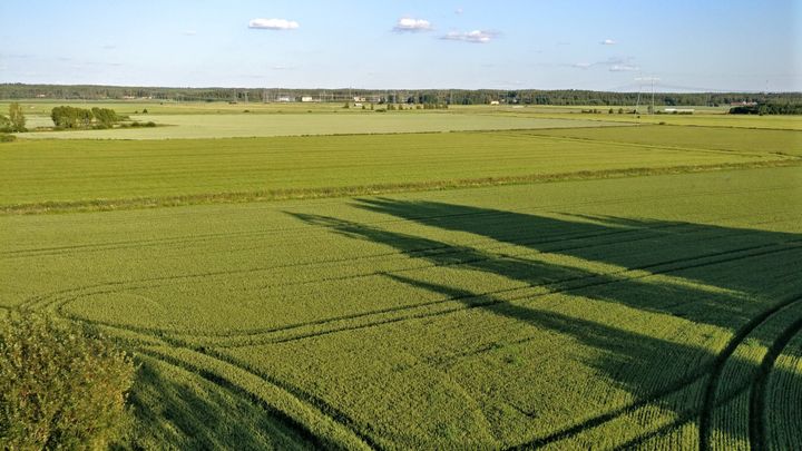 Kuvateksti: Lannoitevalmisteiden raaka-aineena halutaan käyttää jätepohjaisia raaka-aineita. Niiden riskit on kuitenkin syytä tunnistaa. Kuvaaja Lauri Äystö/SYKE