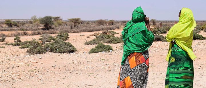 Naisia Somalimaassa. Kuva Siru Aura. Kuvaa saa käyttää vain Maria Väkiparran väitösviestinnässä.