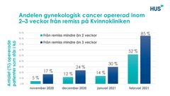 I bilden ses andelen kunder (%) som väntat på en gynekologisk canceroperation under november-februari och vars cancer har opererats inom mindre än två eller tre veckor från att operationsremissen har anlänt.