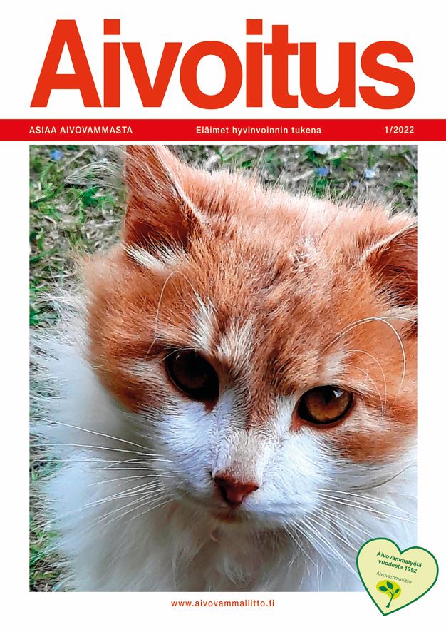 Aivovammaliiton toiminnassa Aivoitus-järjestölehti on tärkeässä roolissa jäsenten identiteetin kannalta ja tiedottamisessa.