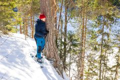 Kiviniemen alue tarjoaa Kolin seudulle tyypilliseen tapaan korkeuseroja ja monipuolista maastoa myös talvella. Kuva Jarno Artika