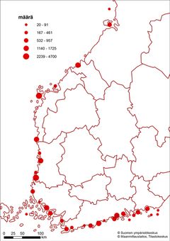 Kartta: Merimetson alueelliset pesämäärät (kpl) 2022