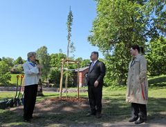 Istutusseremoniassa olivat paikalla Ukrainan Suomen-suurlähettiläs Olga Dibrova, Helsingin pormestari Juhana Vartiainen jakaupunkiympäristön apulaispormestari Anni Sinnemäki. Kuva: Roy Koto / Helsingin kaupunkiympäristö