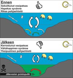 Nuas-järven vesipatsas ennen ja jälkeen purkuputken asentamista 2015.