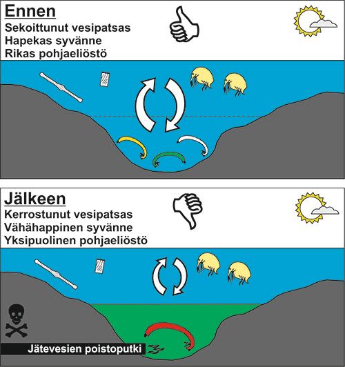 Nuas-järven vesipatsas ennen ja jälkeen purkuputken asentamista 2015.