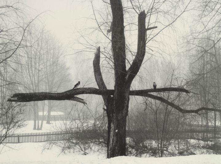 Pentti Sammallahti: Tamminiementie, Meilahti, 2002. Helsinki, 2002. Suomen valokuvataiteen museo.