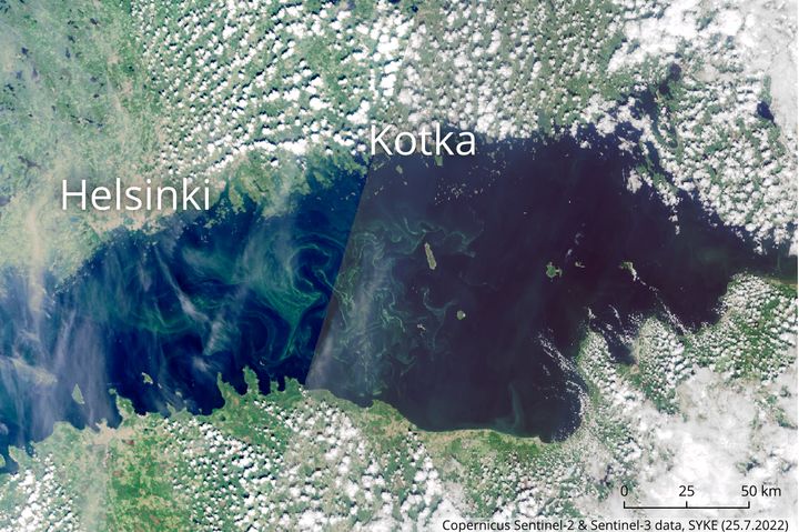 Suomenlahden sinilevähavainnot painottuvat avomerelle Suursaaren länsipuolelle. Satelliittihavainto maanantailta 25.7.2022.