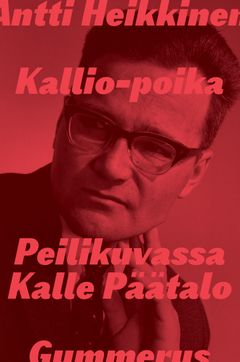 Kallio-poika