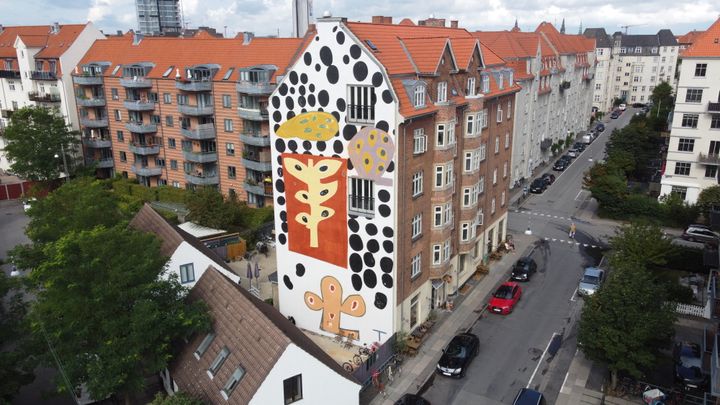 Tuukka Tammisaaren seinämaalaus on valmistunut Suomalais-tanskalaisen kulttuurirahaston tuella, ja se koristaa päätyseinää Kööpenhaminan Amagerissa. Kuva: Jens-Peter Brask.