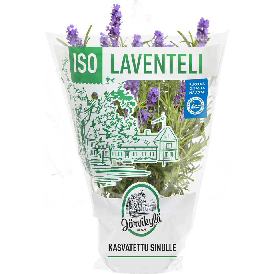 jarvikyla-iso-laventeli_MRHI