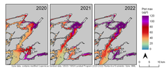 Den största belastningen av partikelbunden fosfor som transporteras via vattendrag till Skärgårdshavet i Pemarviken 2020–2022. Belastningen har beräknats på basis av grumlighet tolkad från satellitbilder. Belastningen varierar avsevärt under olika år. ©Syke