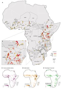 Kuvio 2. Ihmisen ja leijonan (Panthera leo) ja norsun (Loxodonta africana ja Loxodonta cyclotis) välisen konfliktin pahimmat riskialueet Afrikassa. Credit: Di Minin et al.