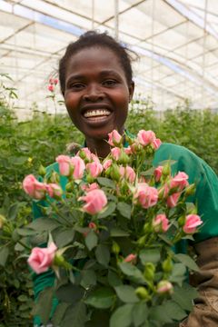 Christine Adhiambo työskentelee kenialaisella Reilun kaupan ruusutilalla. Kuva: Fairtrade International / Nathalie Bertrams