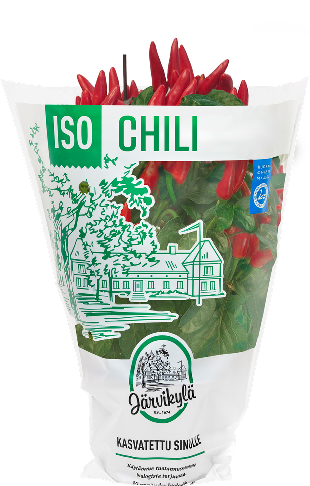 Järvikylän Iso Chili