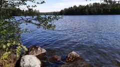 Valtakunnallinen leväseuranta jatkuu syyskuun loppuun. Kuva: Sabina Mäki