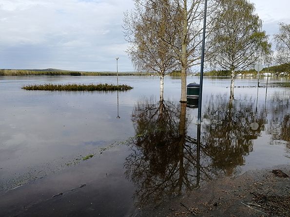 Kuva: Lapin ELY-keskus. Kuva on vapaasti käytettävissä.