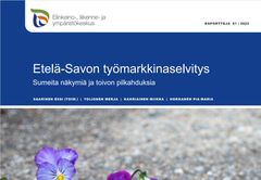 Etelä-Savon työmarkkinaselvitys.