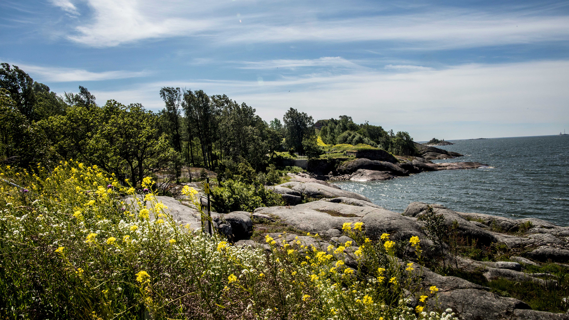 Helsinki Biennial 2027 to Explore the Unknowns