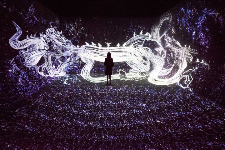 TeamLab, Crows web