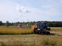 Oukkulanlahti. Foto: Maria Yli-Renko