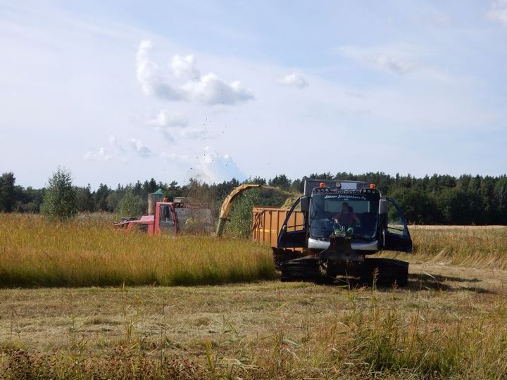 Oukkulanlahti. Foto: Maria Yli-Renko
