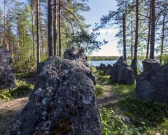 Panssarieste Jyrkänkankaalla. Kuva Kimmo Rauatmaa.